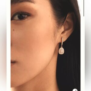 NWT Anthropologie Crystal Drop Earrings